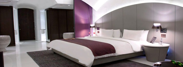 815/The Roseate - New Delhi 11.jpg